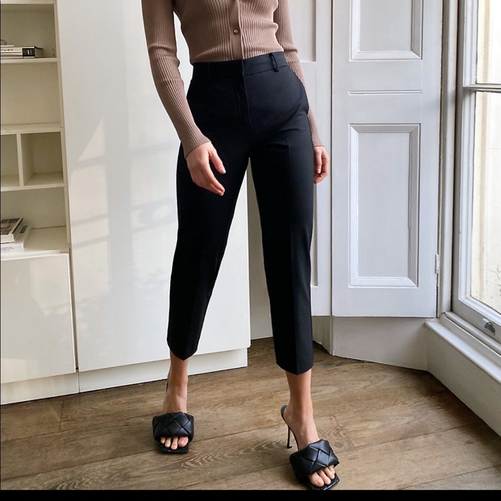 Aritzia Babaton Trouser